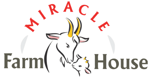 cropped cropped miracle logo 2 e1669621980127.png