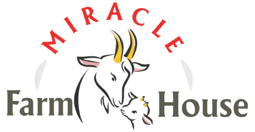 cropped cropped miracle logo 2 e1669621980127.png