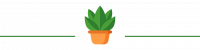 plant (1)