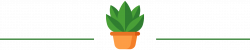 plant (1)